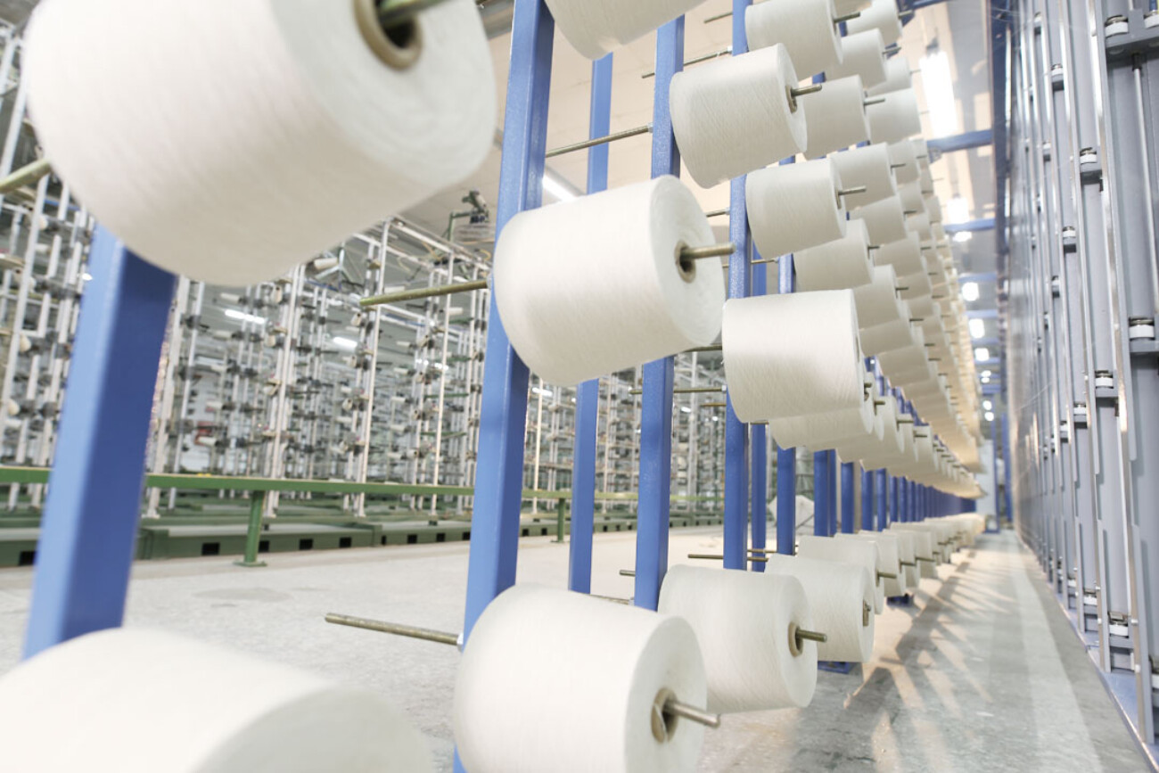 Warping Processing - SAAD GROUP